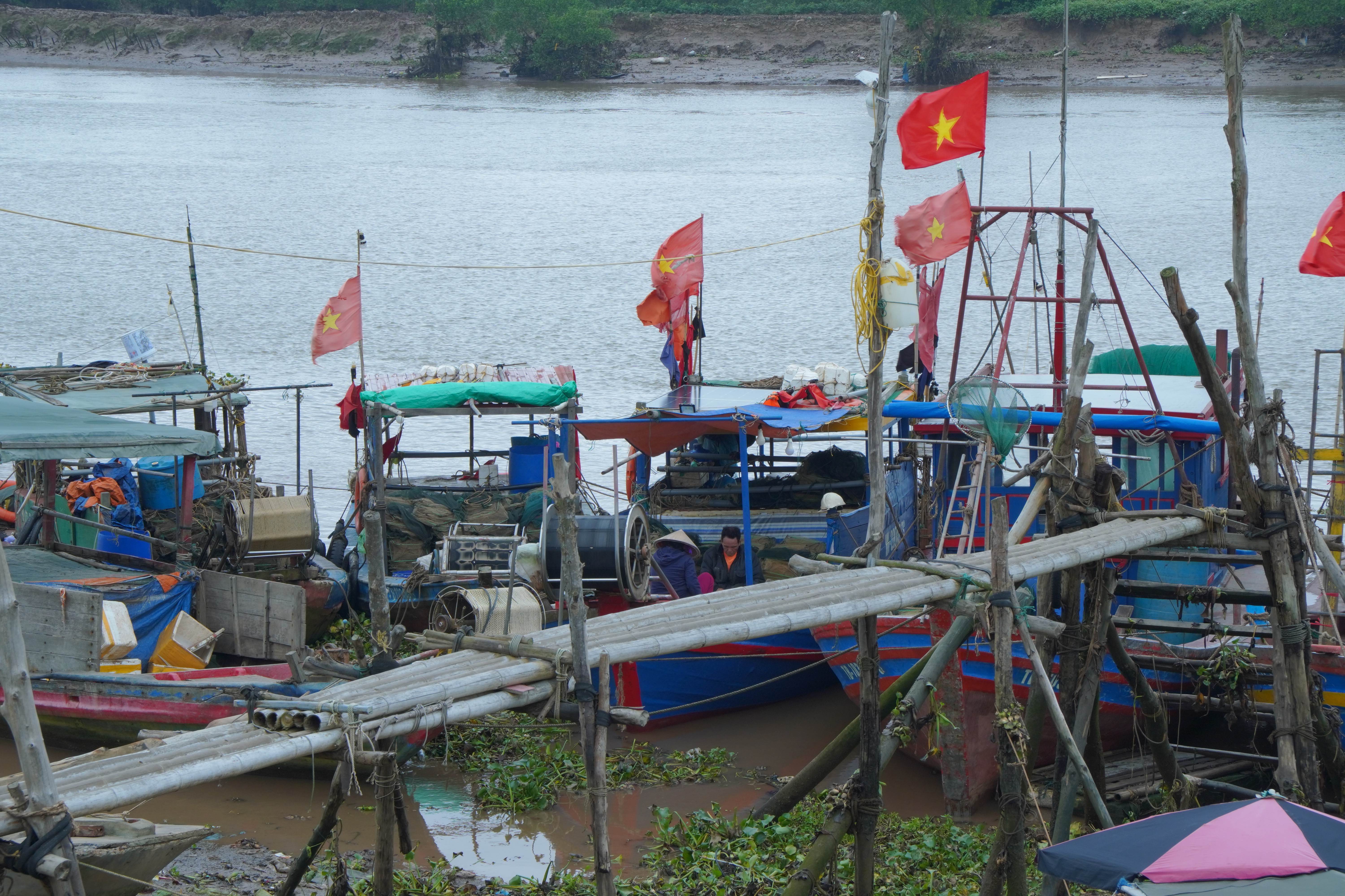 dsc04729-1773072552.JPG