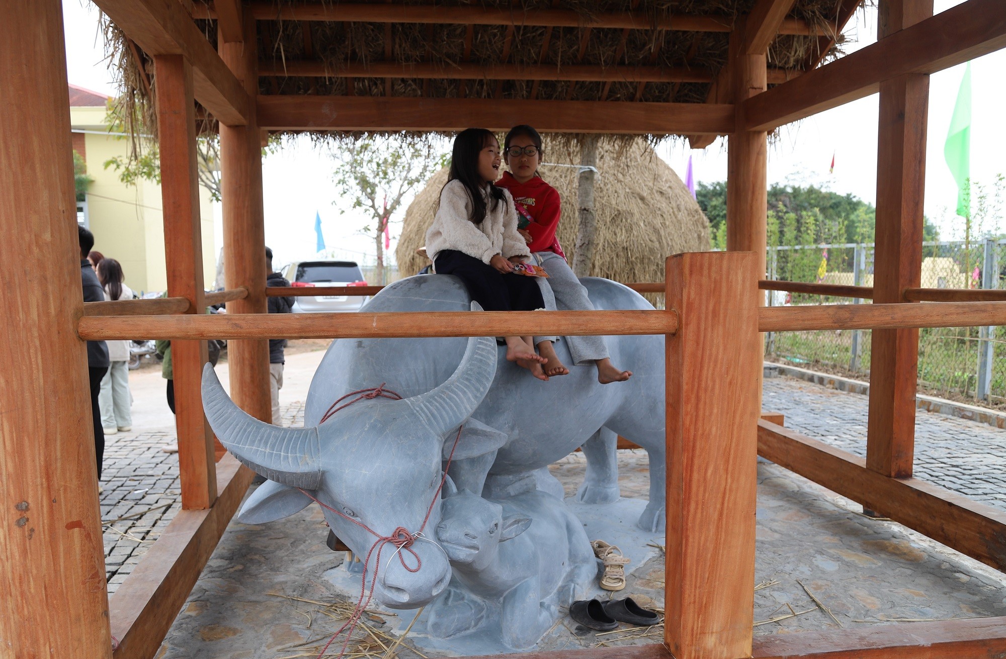 e-mo-phong-chuong-trau-1770027489 e-mo-phong-chuong-trau-1770027489.jpg