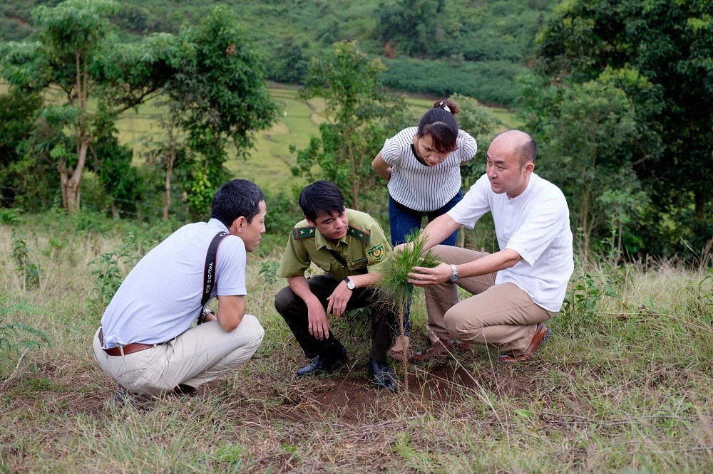01-muongphangdien-bien-1775066265-1 01-muongphangdien-bien-1775066265.jpg