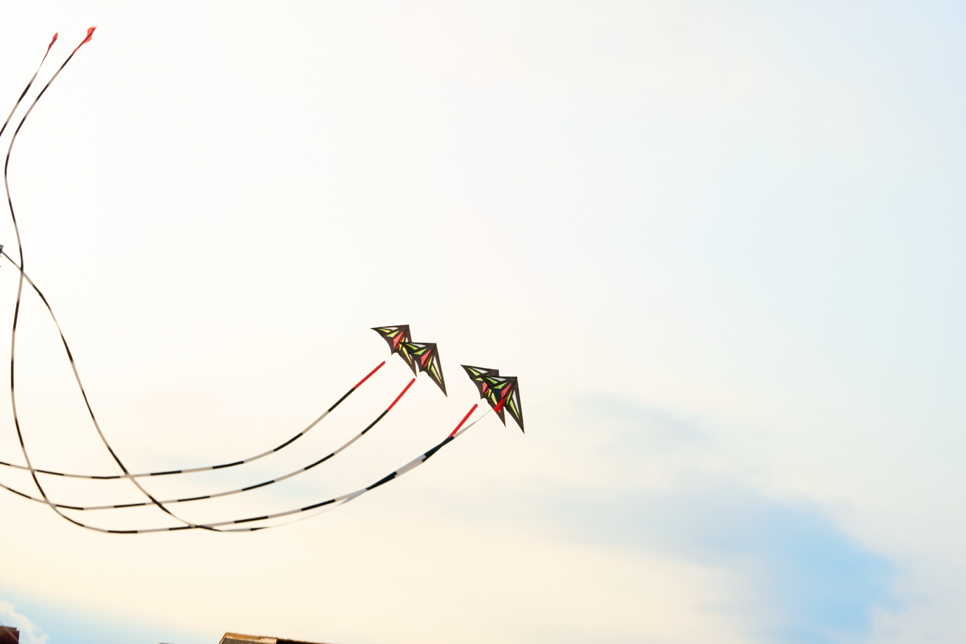 2-1777099379 2-1777099379.png