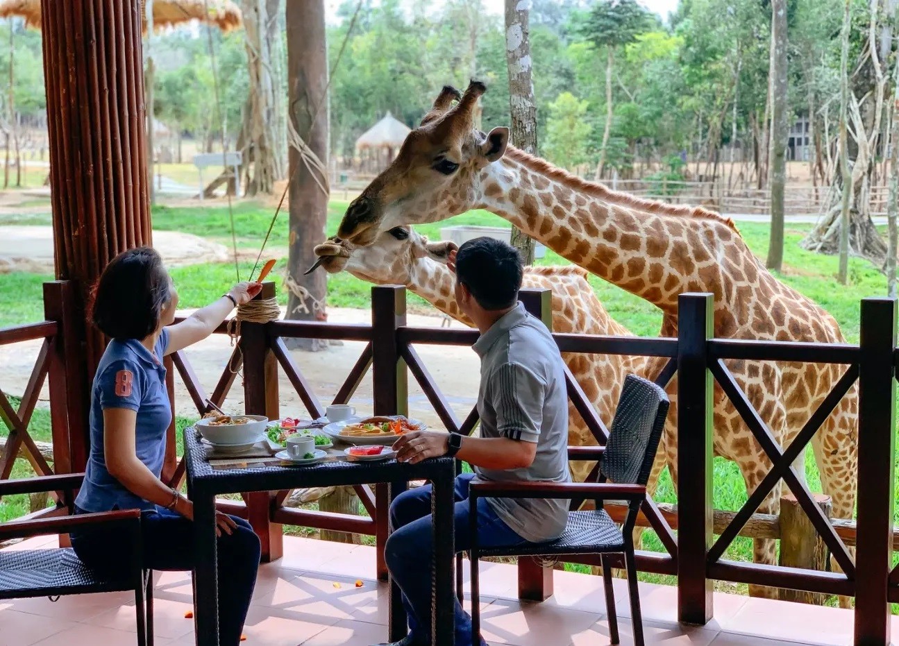 a4-trai-nghiem-am-thuc-giua-khong-gian-thien-nhien-tai-vinpearl-safari-phu-quoc-1782114669 a4-trai-nghiem-am-thuc-giua-khong-gian-thien-nhien-tai-vinpearl-safari-phu-quoc-1782114669.jpg
