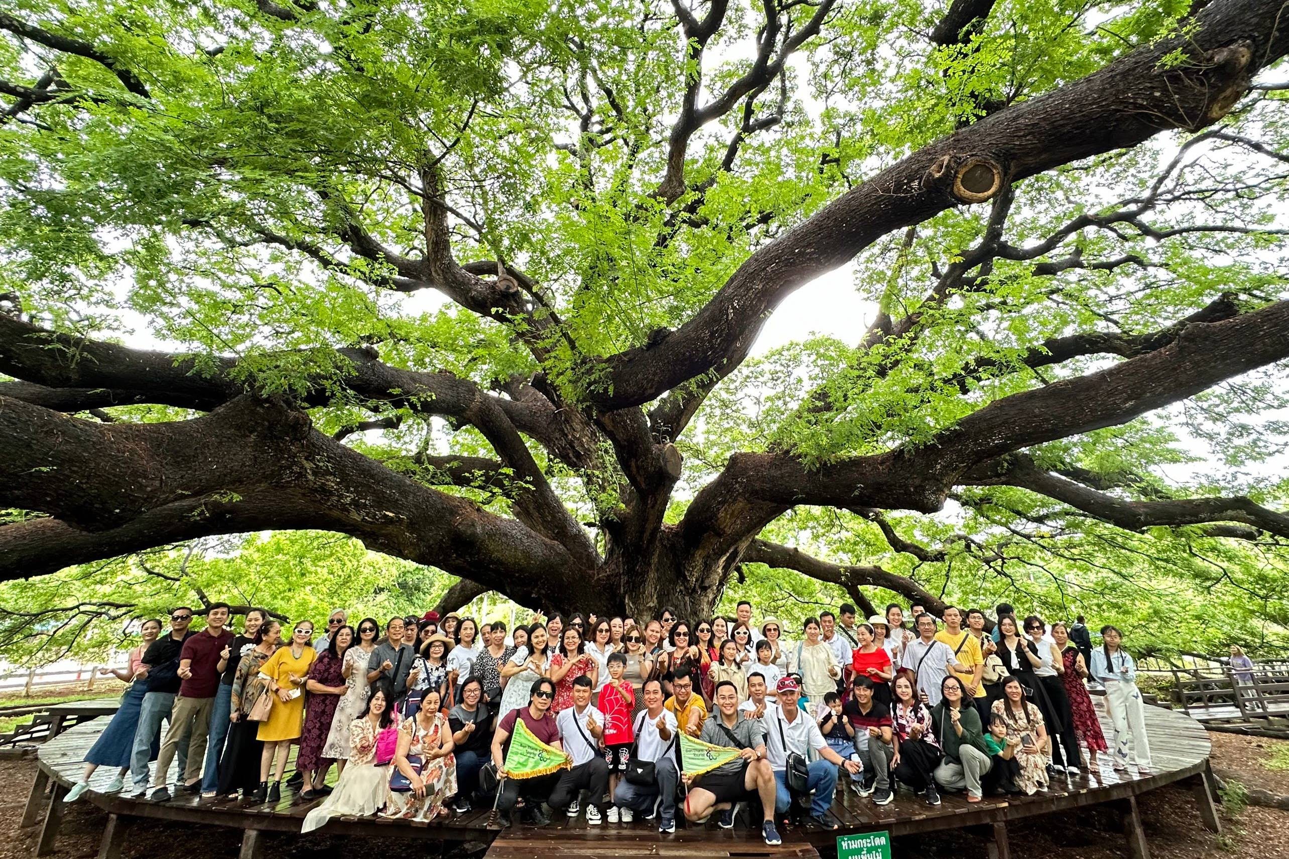h09-doan-khach-benthanh-tourist-tai-diem-tham-quan-giant-rain-tree-kanchanaburi-1786717127 h09-doan-khach-benthanh-tourist-tai-diem-tham-quan-giant-rain-tree-kanchanaburi-1786717127.jpg